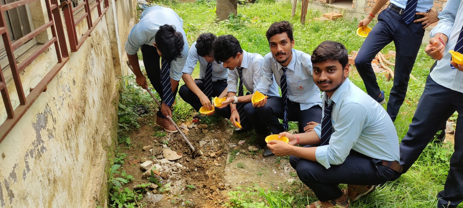 Tree plantation program