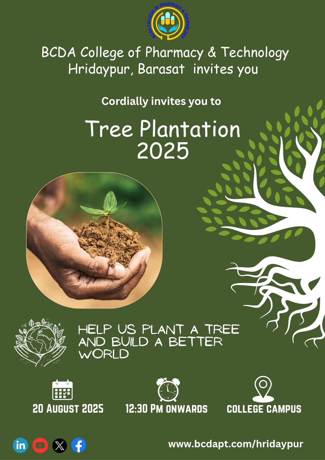 Tree Plantation